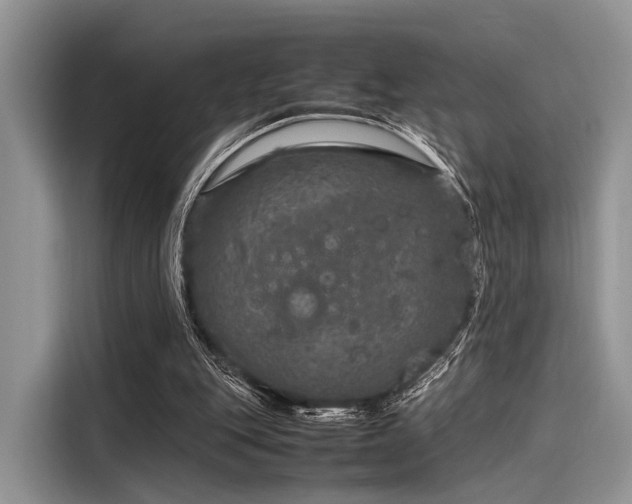 X0000116100151200911301109