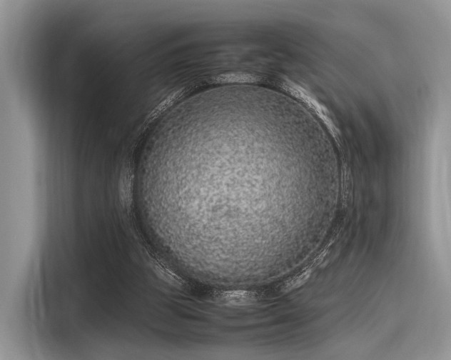 X0000116100153200911301109