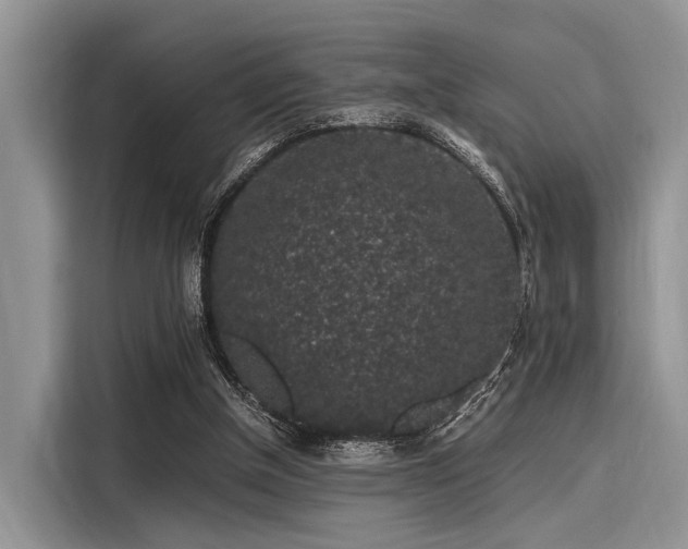 X0000116100154200911301109