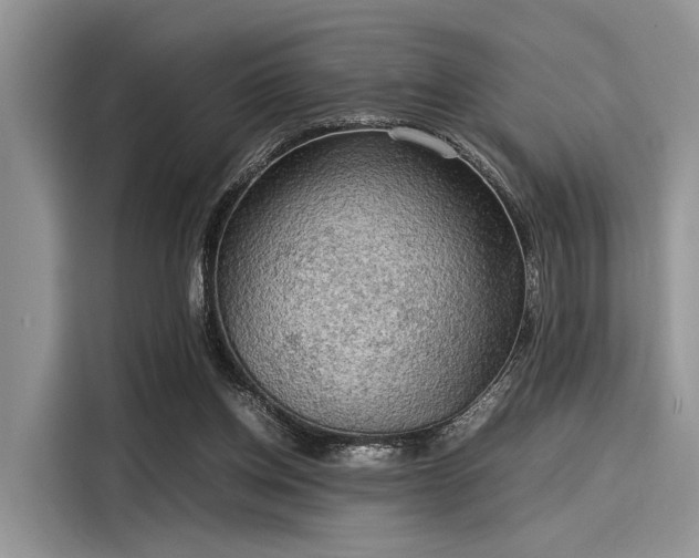 X0000116100158200911301110