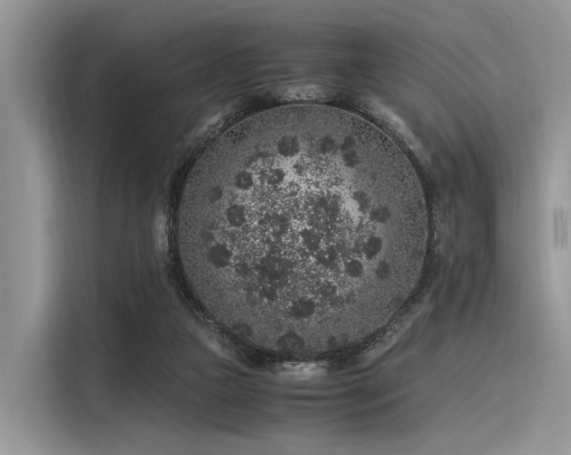 X0000116100161200911301110