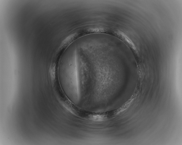 X0000116100163200911301110