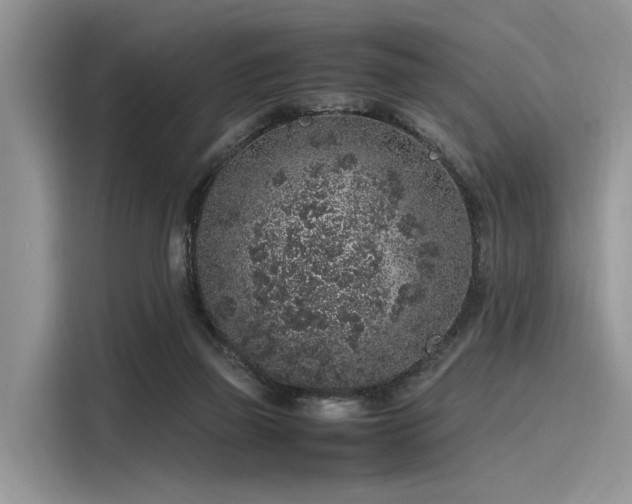 X0000116100165200911301110