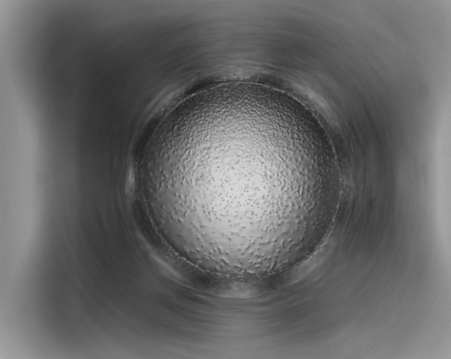 X0000116100166200911301110