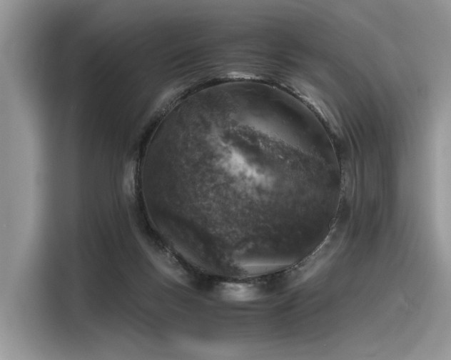 X0000116100167200911301110