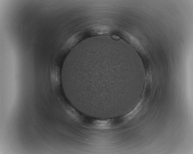 X0000116100170200911301110