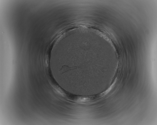 X0000116100174200911301110