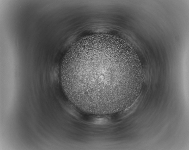 X0000116100175200911301110