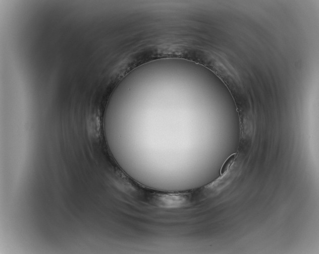 X0000116100183200911301110