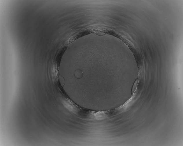 X0000116100186200911301110