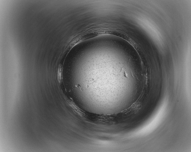 X0000116100190200911301110