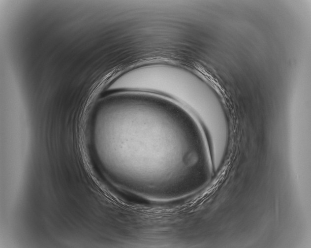 X0000116100193200911301109