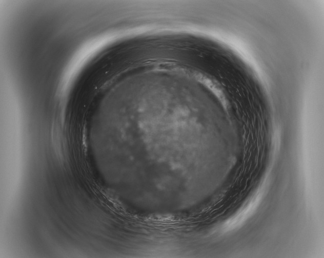 X0000116100194200911301109