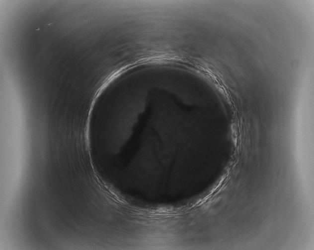 X0000116100196200911301109