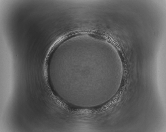 X0000116100197200911301109