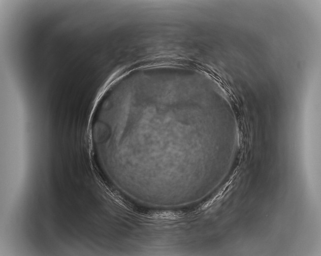 X0000116100198200911301109