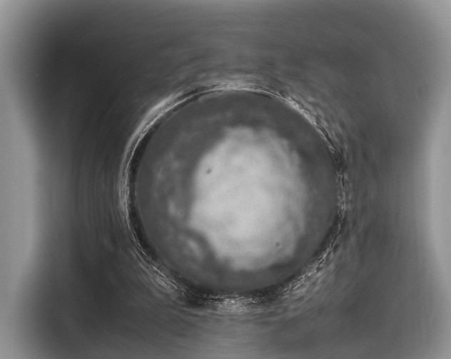 X0000116100199200911301109