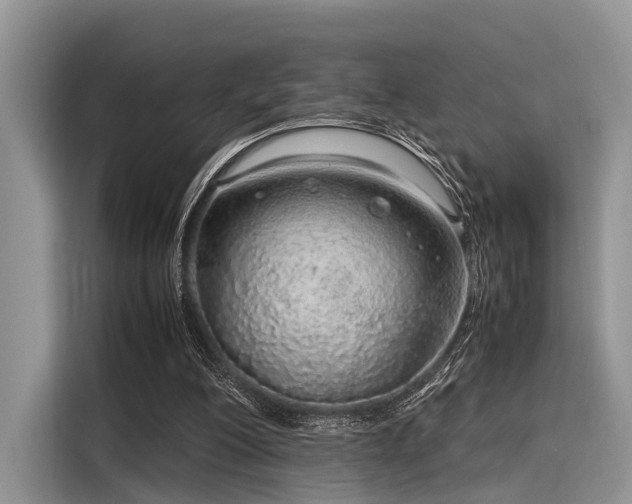 X0000116100200200911301109