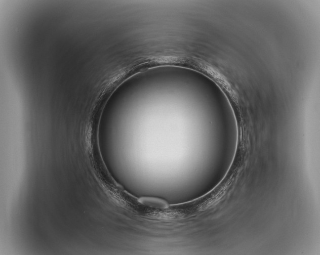 X0000116100201200911301109