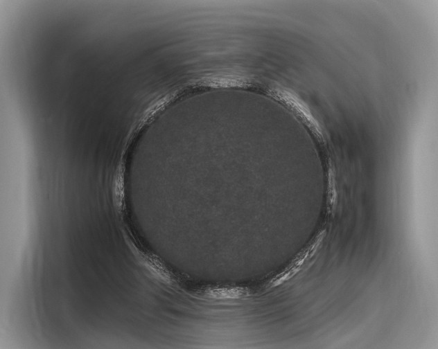 X0000116100202200911301109