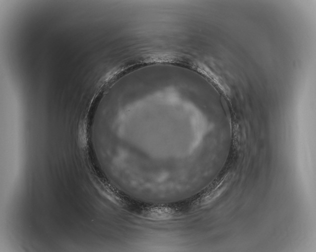 X0000116100203200911301109