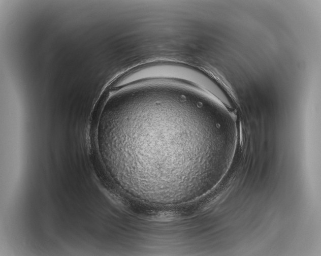 X0000116100204200911301109