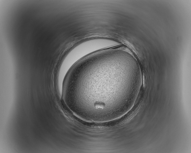 X0000116100205200911301109