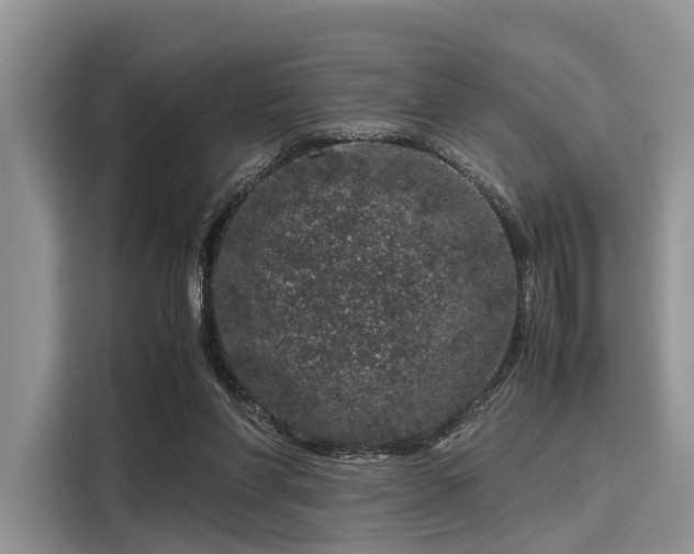 X0000116100206200911301109