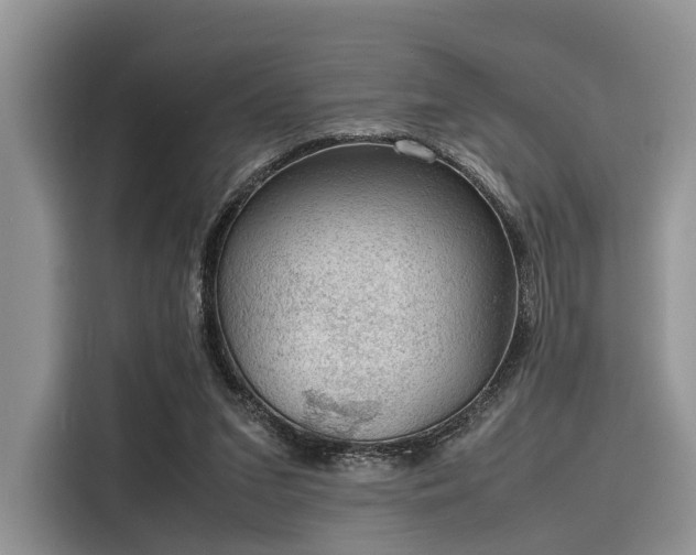 X0000116100207200911301109