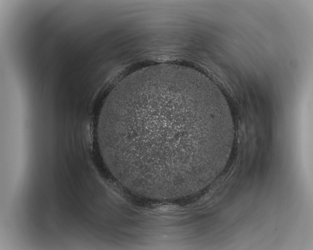 X0000116100210200911301109