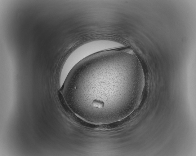 X0000116100211200911301109