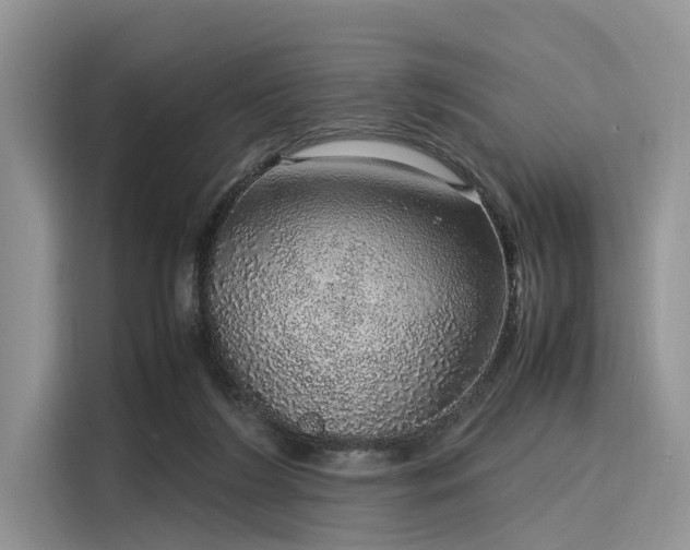 X0000116100212200911301109