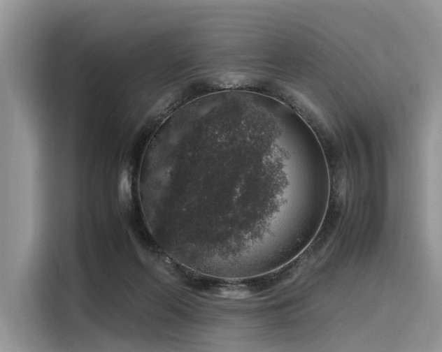 X0000116100214200911301109