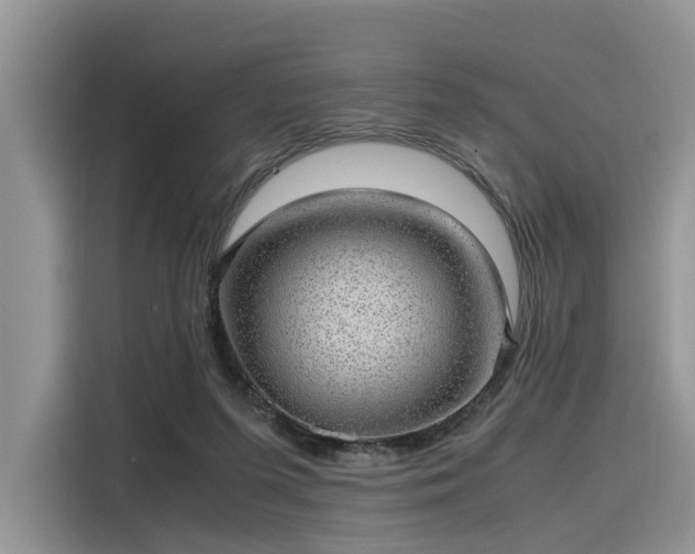 X0000116100215200911301109