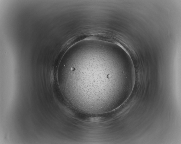 X0000116100216200911301109