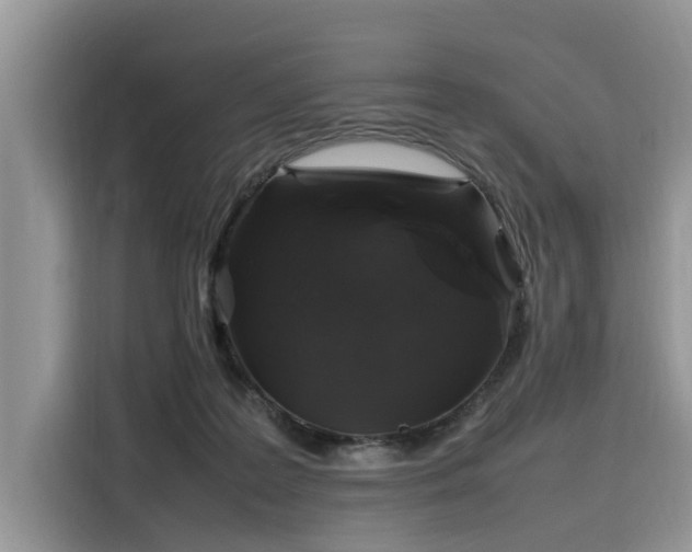 X0000116100219200911301109