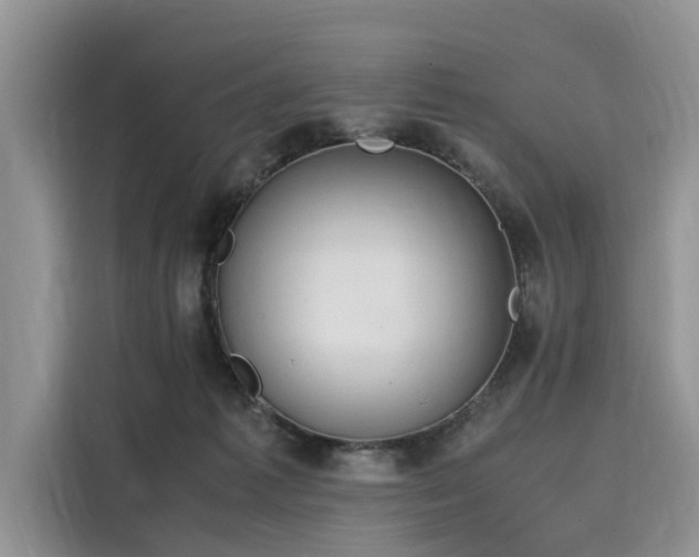 X0000116100221200911301109