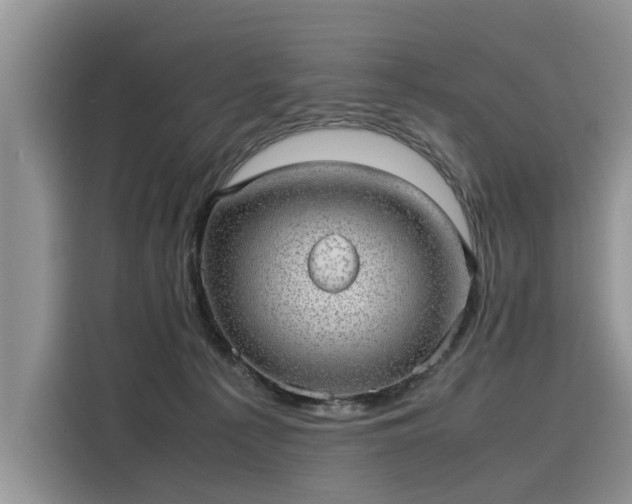 X0000116100225200911301109