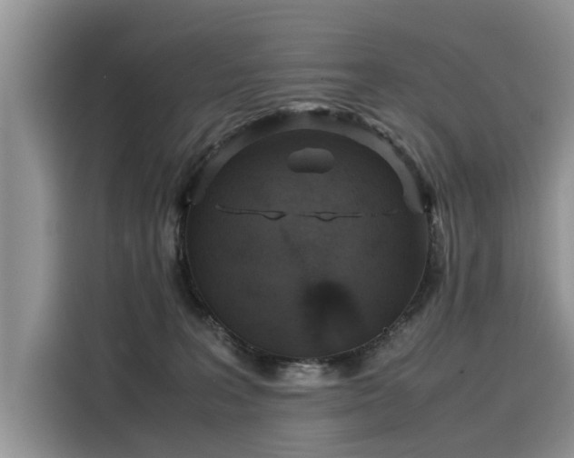 X0000116100227200911301109