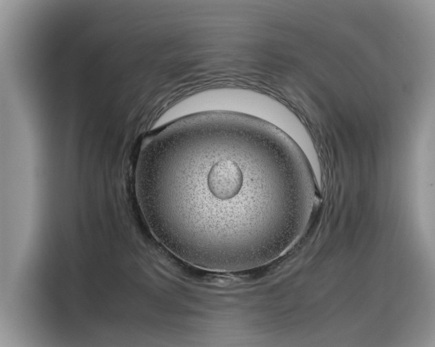 X0000116100229200911301109