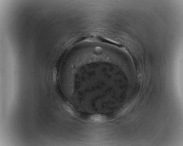 X0000116100231200911301109