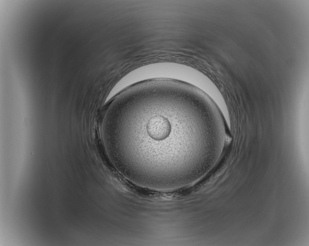 X0000116100235200911301109