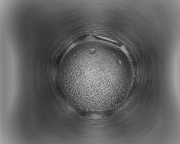 X0000116100236200911301109