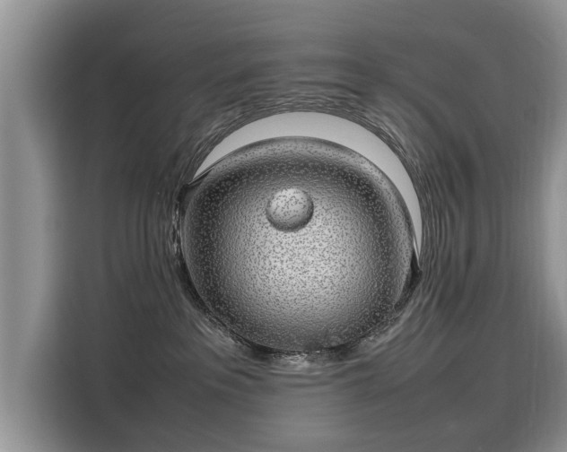 X0000116100237200911301109