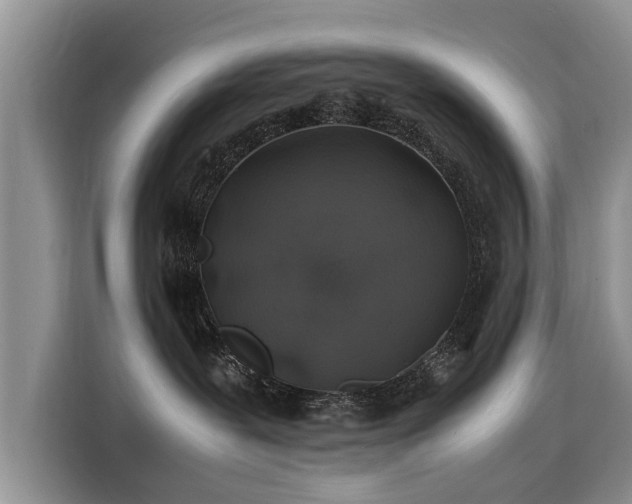 X0000116100239200911301109