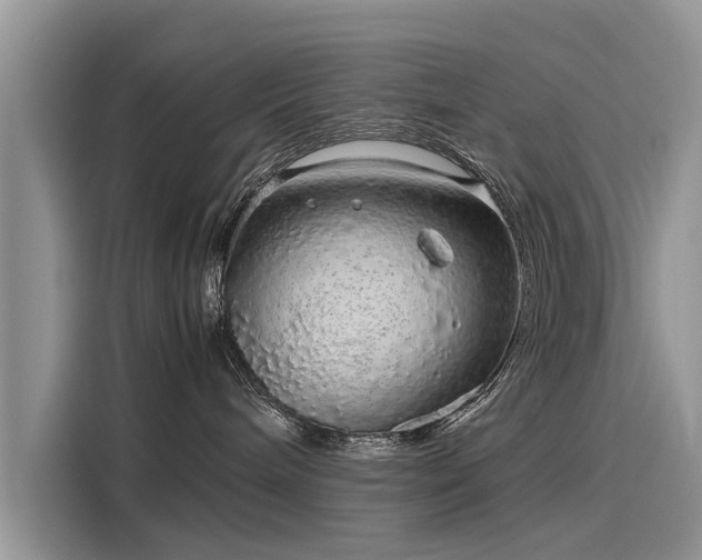 X0000116100240200911301109