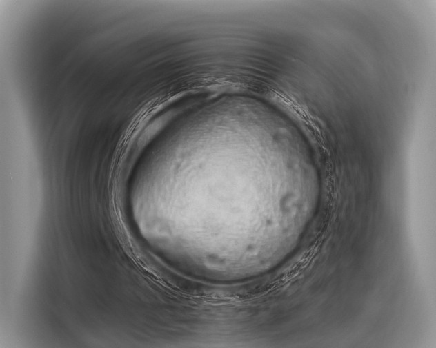 X0000116100241200911301108