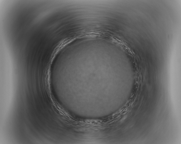 X0000116100242200911301108