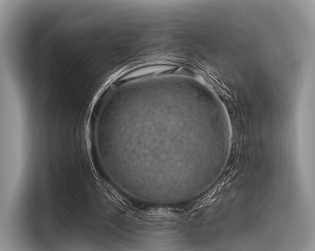 X0000116100244200911301108