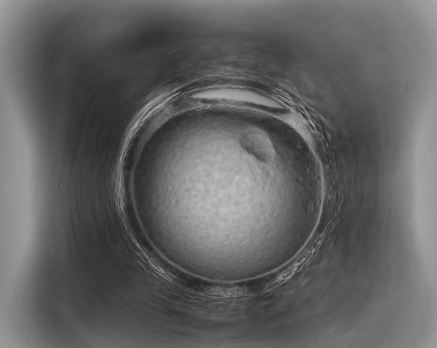 X0000116100245200911301108